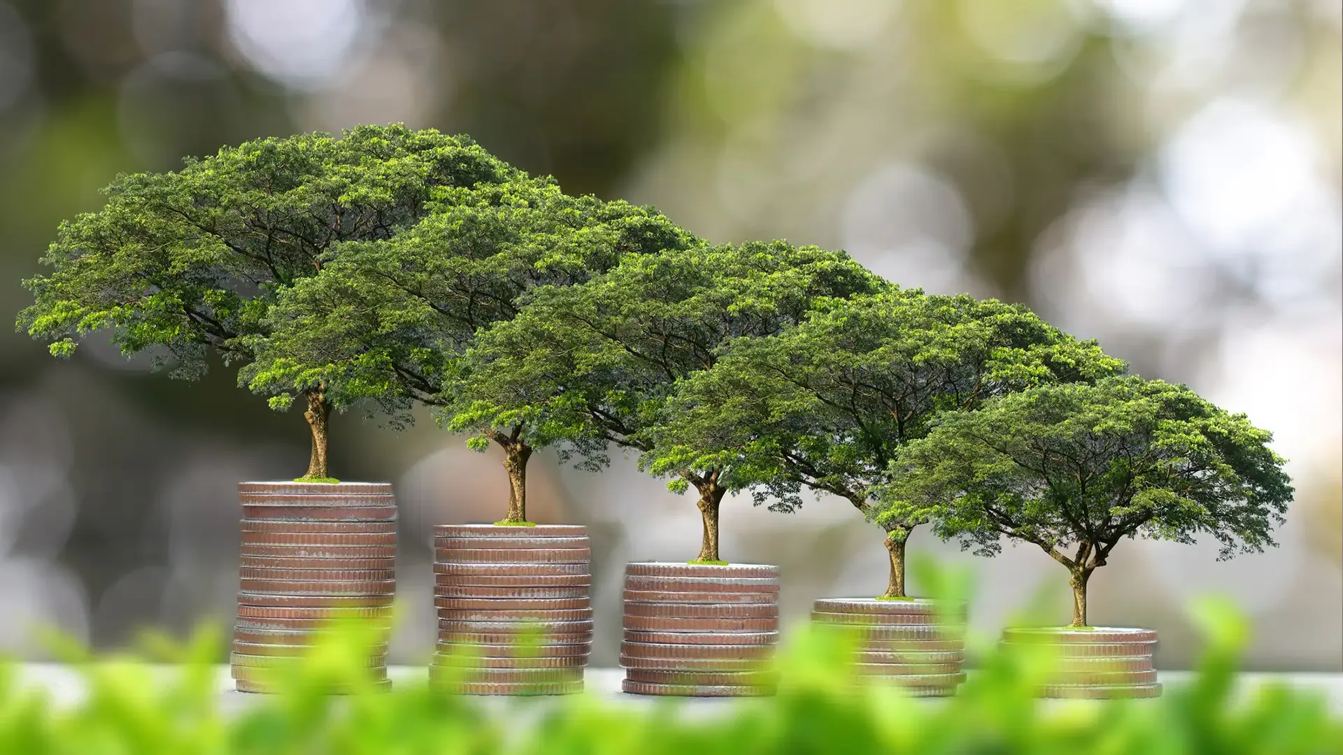 Stylised image of trees growing from coin stacks